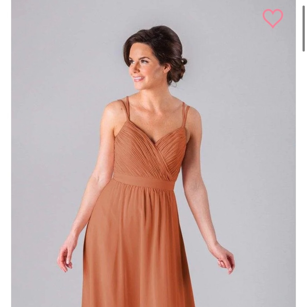 Kennedy Blue Mackenzie dress, in color Spice, size A12
